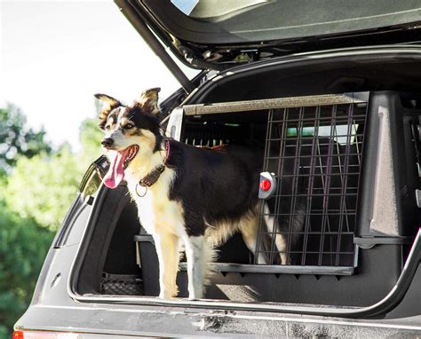 SUV Dog Crate 